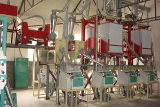 【面粉機組、面粉機成套設(shè)備專業(yè)的生產(chǎn)廠家】